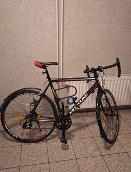 KS Cycling Rennrad Euphoria 28 Zoll (58 cm Rahmenhöhe) - Düsseldorf