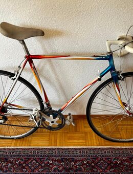 Staiger Fahrrad Cavallo III - Ostfildern