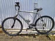 Rixe Cross XC 4.0 Herren Fahrrad 24gang 28zoll Reifen Bike Rahmenhöhe ca. 50cm - Essen