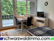 Möbliertes 1-Zimmerappartement im Feriengebiet Südschwarzwald - Todtmoos