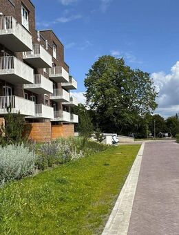 Ihr neues zu Hause ganz nah an der Schlei! - Schleswig