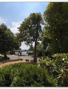 GROSSZÜGIGE und TOP GESCHNITTENE 4-Zimmerwohnung in sehr ruhiger Wohnlage - Bad Soden (Taunus)