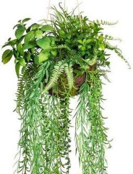 Künstliche Zimmerpflanze Dekokugel zum Hängen Grünpflanze, Creativ green, Höhe 80 cm