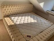 Boxspringbett Beige samt - Herzogenrath