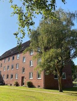 2 1/2 Zimmer Wohnung in zentraler Lagezu vermieten! - Kiel