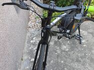 Ebike Crisson eoctant Riemenantrieb - Hennigsdorf