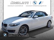 BMW 218, d Cabrio Advantage Bus, Jahr 2020 - Bad Neuenahr-Ahrweiler