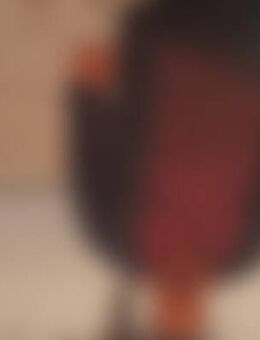 Rat*** - Berlin Friedrichshain-Kreuzberg