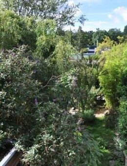 Viel Grün, Ruhe und das ganze Haus erfüllt zahlreiche Wünsche! - Nürnberg