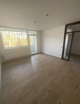 Große 3-Zimmer-Wohnung in Siegen Wenscht mit Balkon! - Siegen (Universitätsstadt)