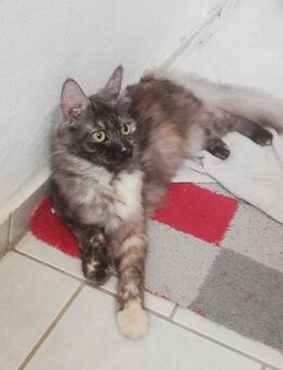 Unsere Ranni sucht dich - Leipzig