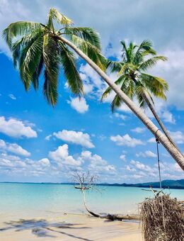 Lomi Lomi Massage in Meerbusch - Meerbusch