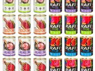 24x Mix Premium Hundefutter Nassfutter Mix Vital Rafi Dose je 400g Set1 - Wuppertal