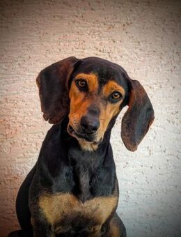 AGATA 💜💜💜 sucht aktive Menschen - Herxheim (Landau)