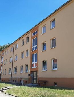 Sie suchen, bei uns finden Sie! - Sangerhausen