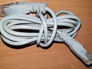 1 x Stück Ethernet Lan Netzwerkkabel RJ45 10/100/1000 Mbit/s - Verden (Aller)