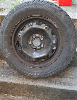 Winterreife 1 St. (175/70 R14 84 T) mit Felge: 20 Eur - Frankfurt (Main) Bornheim