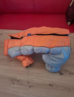 Hund Winterjacke NEU! Gr. M - Schwedt (Oder)