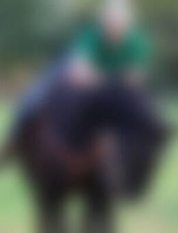 Rud*** - Rötgesbüttel