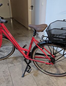 Velo de Ville Damenfahrrad 26 Fahrrad - München