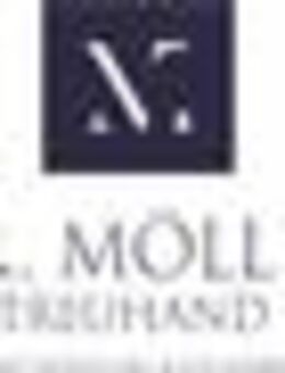 Junior Consultant Steuerberatung und Wirtschaftsprüfung (m/w/d) (Steuerberatungs-/Wirtschaftsprüfungsassistent) - Mannheim