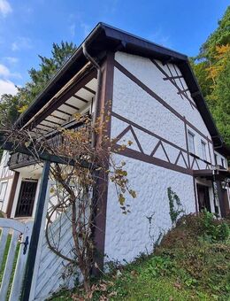 Großzügiges Einfamilienhaus mit Einliegerwohnung in bester und ruhiger Süd-und Waldrandlage - Homburg