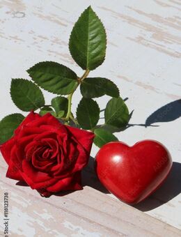 Daddy 64 sucht Dich ab 18 + für Beziehung - Brake (Unterweser)