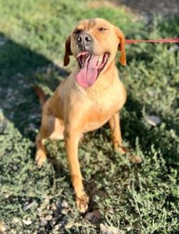 Baddy Freund fürs Leben 💞 - Mylau