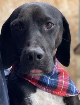 Jeca menschenbezogen & aktiv - Berlin