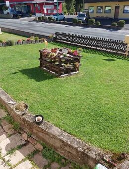 Ihr neues Zuhause: 130 m2 Wohnfläche mit großer Halle in Kothen - Motten