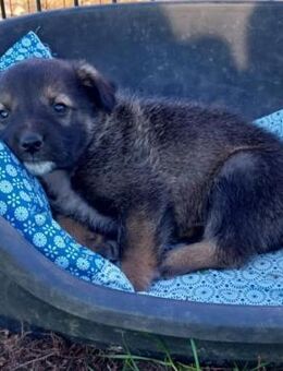 Ricky - Weilmünster