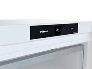 Miele Gefrierschrank FNS 4382 D, 185,5 cm hoch, 59,7 cm breit