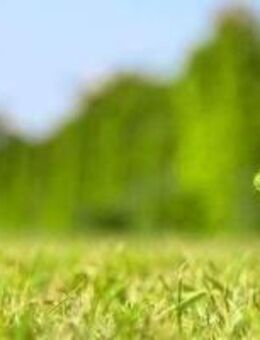 Drei Zimmer mit Gartennutzung und netten Nachbarn - Hildesheim