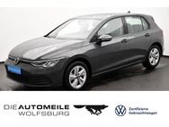 VW Golf, 2.0 TDI 8 VIII Life, Jahr 2024 - Wolfsburg