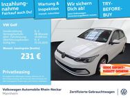 VW Golf, 1.5 TSI VIII Life, Jahr 2024 - Mannheim