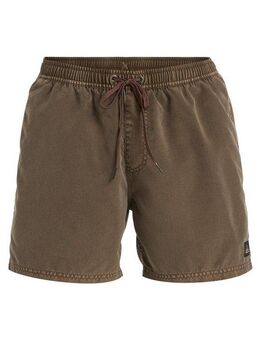 Quiksilver Boardshorts Everyday Surfwash Volley 15"