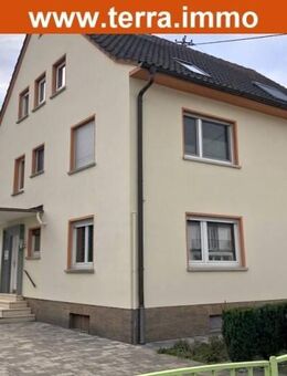Max. 2 Personen! 2 Zimmer-Souterrain-Wohnung! - Frankfurt (Main)