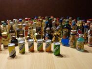 Schnapsflaschen Sammlung Kleine Miniatur Flaschen - Mettmann