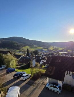 Exklusives Einfamilienhaus mit zwei Einliegerwohnungen – Top-Lage mit unverbaubarem Weitblick in Seelbach - Seelbach (Baden-Württemberg)