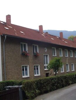 RESERVIERT!!! „Charmante Eigentumswohnung am Waldrand – Ruhe, Natur und gemütliches Wohnen in Ilsenburg“ - Ilsenburg (Harz)