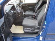 VW Caddy Kasten 2.0 TDI 5-Gang XENON NAVI KLIMA - Cottbus