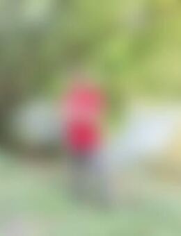 Ser*** - Bächingen (Brenz)