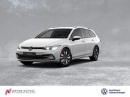 VW Golf Variant, 2.0 TDI Golf VIII MOVE, Jahr 2024 - Bayreuth