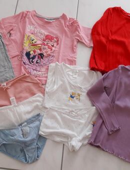 Marke H&M Kleiderpaket Kinder-Shirt Mädchen Gr. 110/116 Unterwäsche Leo Lausemaus - Lindau (Bodensee)