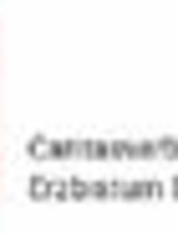 Geschäftsführer (m/w/d) - Berlin