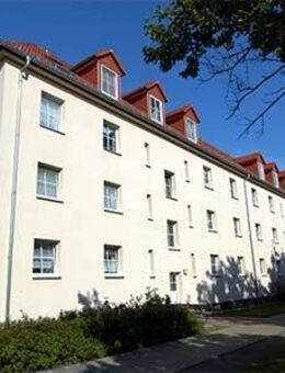 2 Zimmer - Stellplatz möglich - Markkleeberg