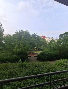 Für kreative Köpfe - Südbalkon, Essküche und grüne Randlage - Berlin