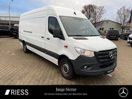 Mercedes Sprinter, 315 KA Maxi MBUX °, Jahr 2022 - Ravensburg