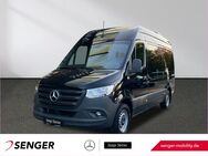 Mercedes Sprinter, 317 L2H2 ROLLSTUHLLIFT elek Tritt, Jahr 2022 - Herford (Hansestadt)