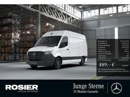 Mercedes Sprinter, 317 Kasten L2H2, Jahr 2023 - Braunschweig